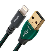 Lampo USB della foresta